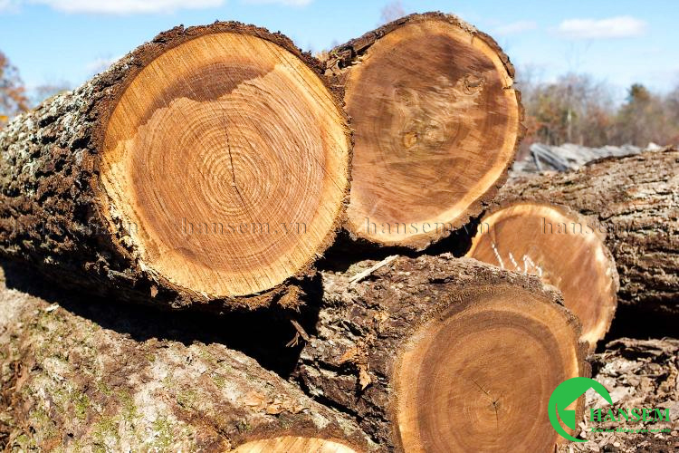 Màu gỗ Walnut đẹp, tôn lên chất lượng sản phẩm thêm sang chảnh